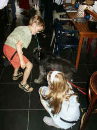 PICT0486.JPG (41764 bytes)