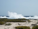 20030301OostkustBonaire2.JPG