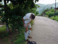 20030529Strippen00319.JPG (41552 bytes)