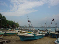 Lokale vissersboten in Galle